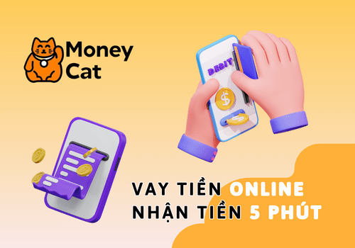 Hiểu về công ty Money Cat