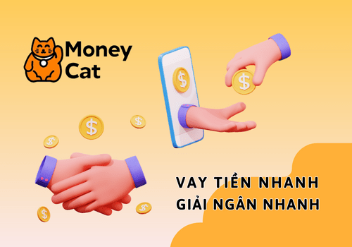 Hướng dẫn cách vay online tại MoneyCat